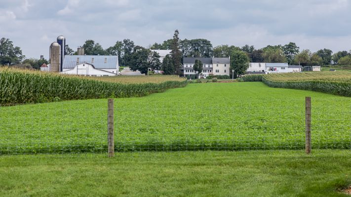 IMG_3845~0.jpg