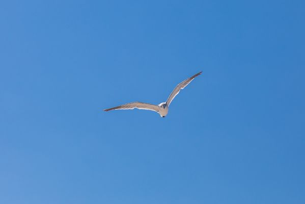 IMG_3885.jpg
