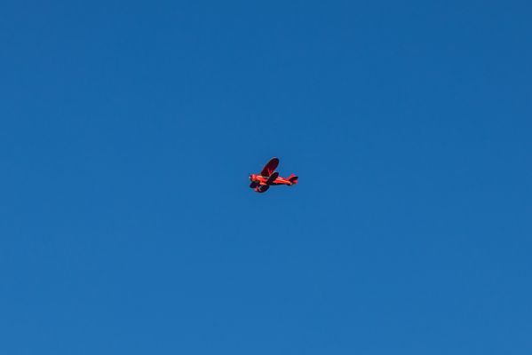 IMG_3943.jpg