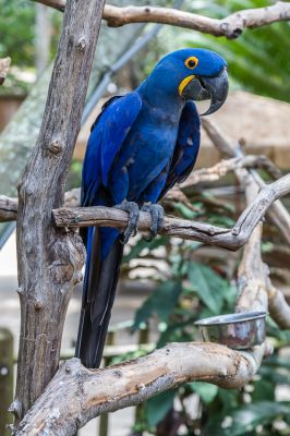 IMG_4177~0.jpg