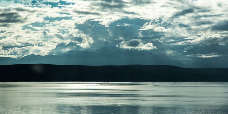 IMG_4363.jpg