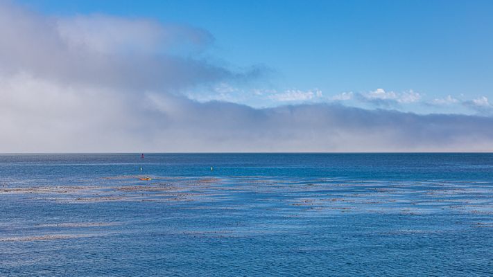IMG_4499.jpg