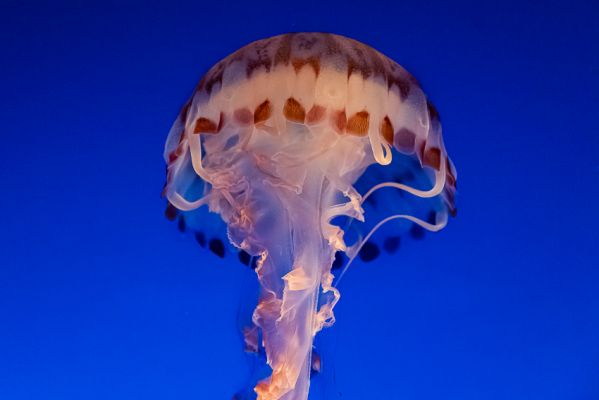 IMG_4551~0.jpg