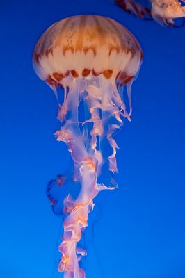 IMG_4552.jpg