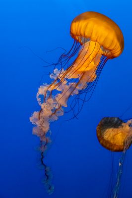 IMG_4569~1.jpg
