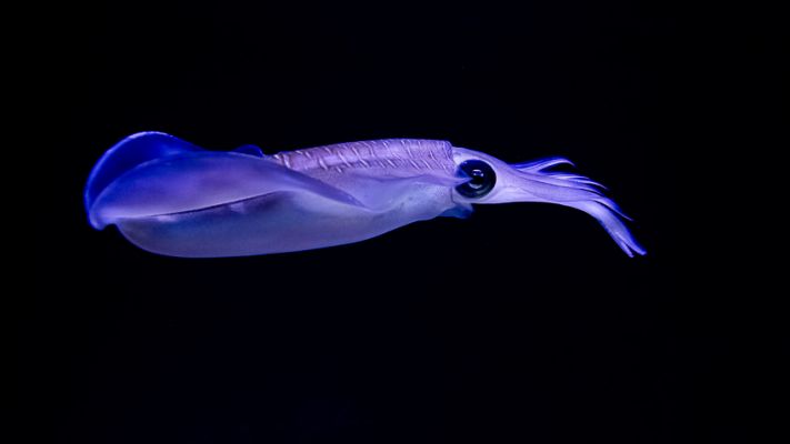 IMG_4625~0.jpg