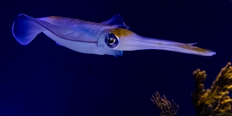 IMG_4632~1.jpg