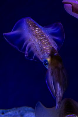 IMG_4657.jpg