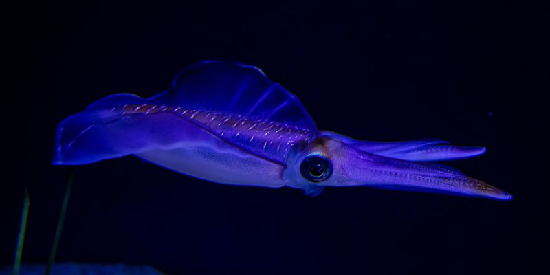 IMG_4658~0.jpg