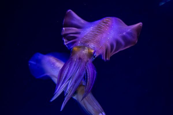IMG_4663.jpg