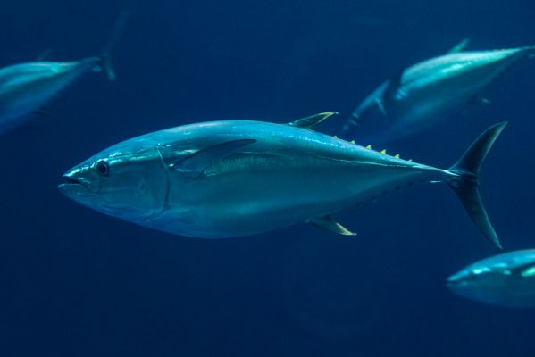 IMG_4671~0.jpg
