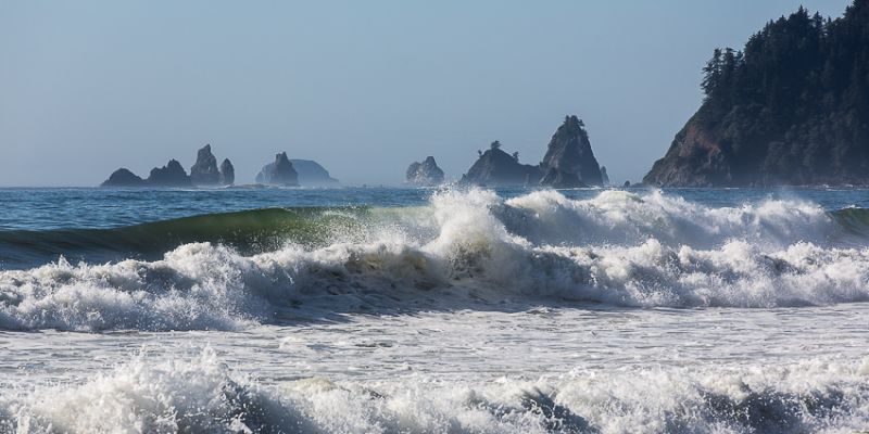 IMG_4696.jpg