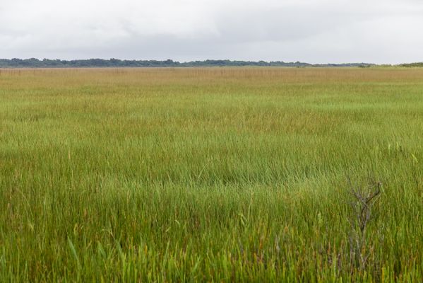 IMG_4900.jpg