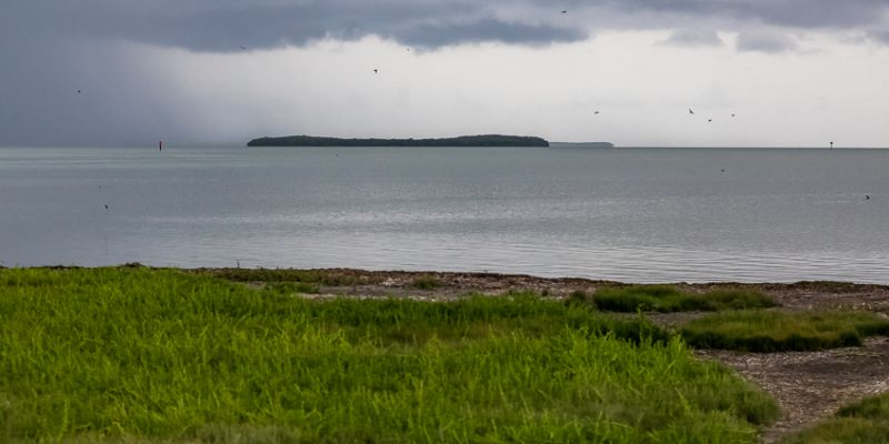 IMG_4971.jpg
