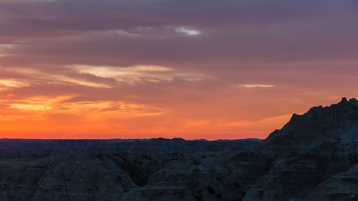IMG_5022.jpg