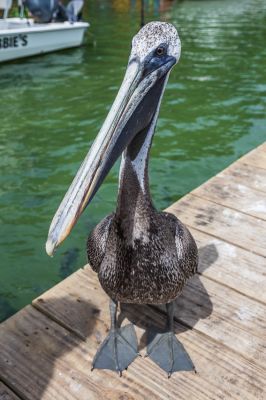 IMG_5049.jpg