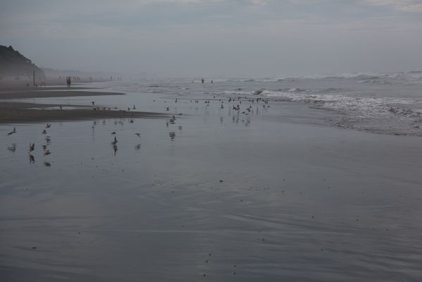 IMG_5113.jpg