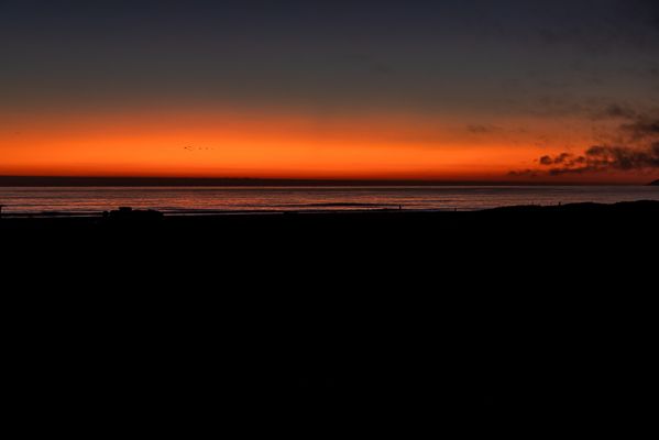 IMG_5215.jpg