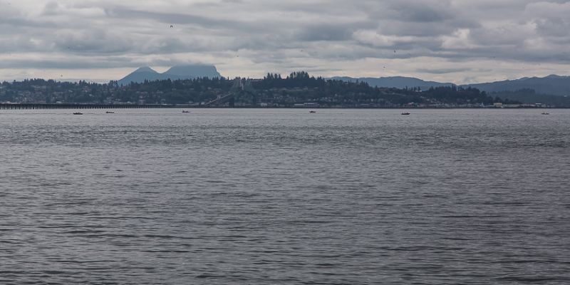 IMG_5240.jpg