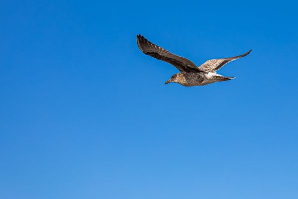 IMG_5246~0.jpg