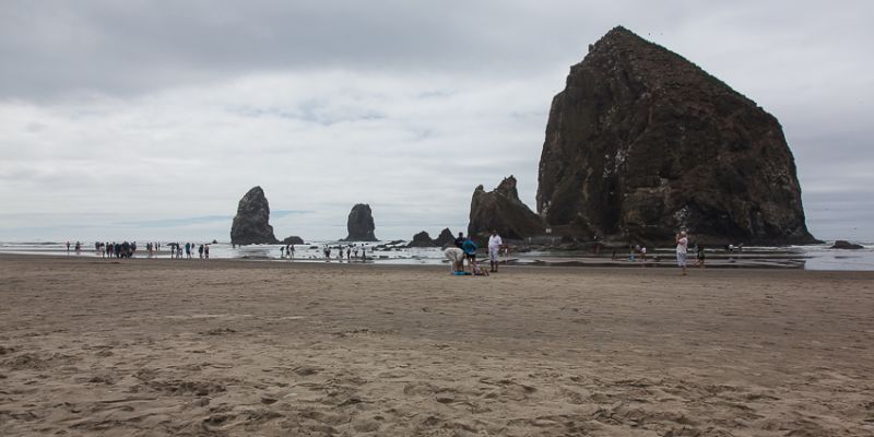 IMG_5363.jpg