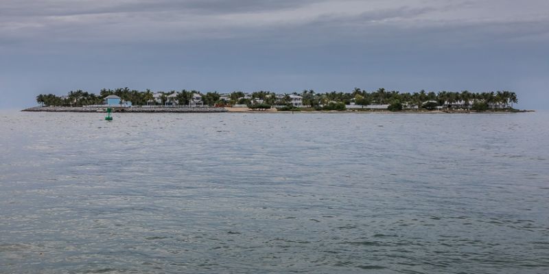 IMG_5462.jpg