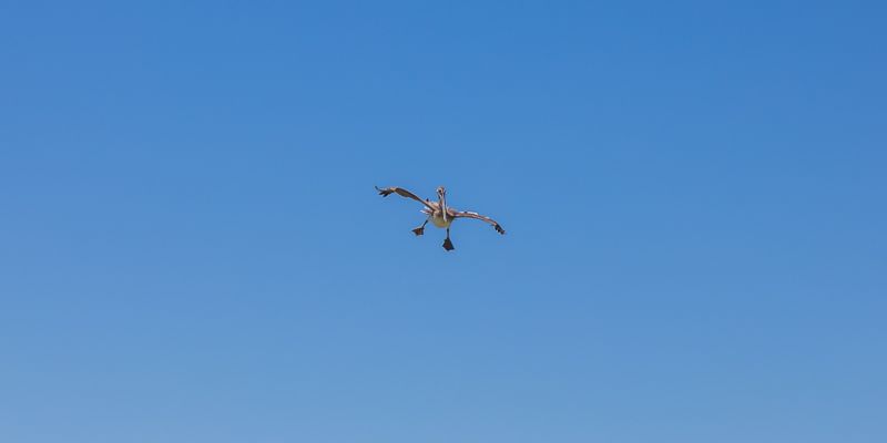IMG_5914.jpg