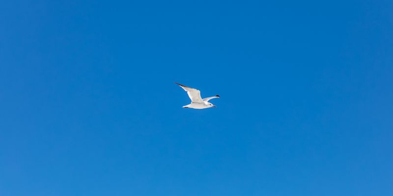 IMG_5928~0.jpg