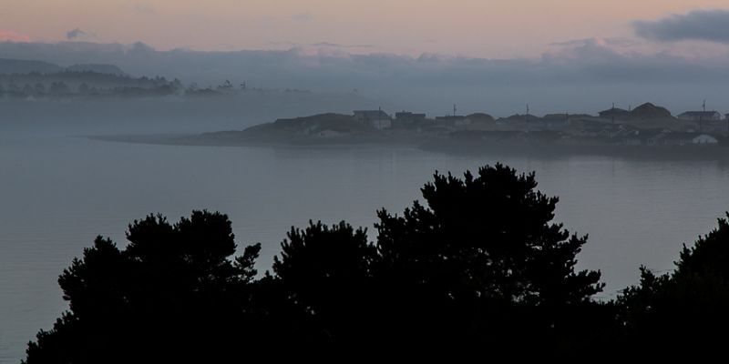 IMG_5988.jpg