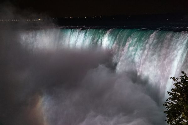 IMG_6036~0.jpg