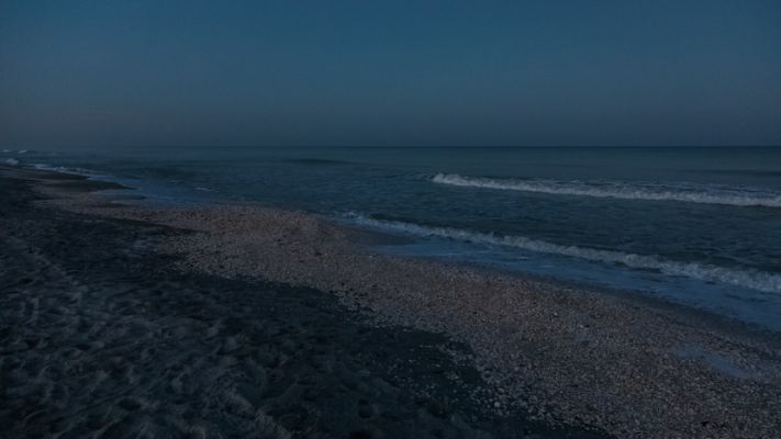 IMG_6090~0.jpg