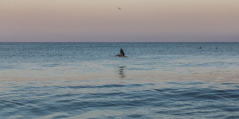 IMG_6139.jpg