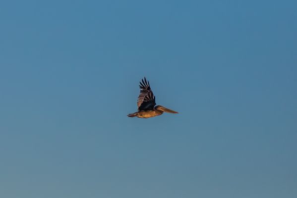 IMG_6145~0.jpg