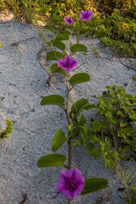 IMG_6156~0.jpg