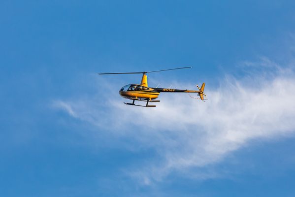 IMG_6291.jpg