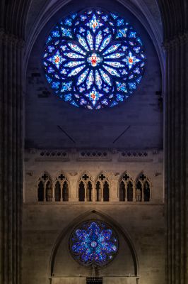 IMG_6345.jpg