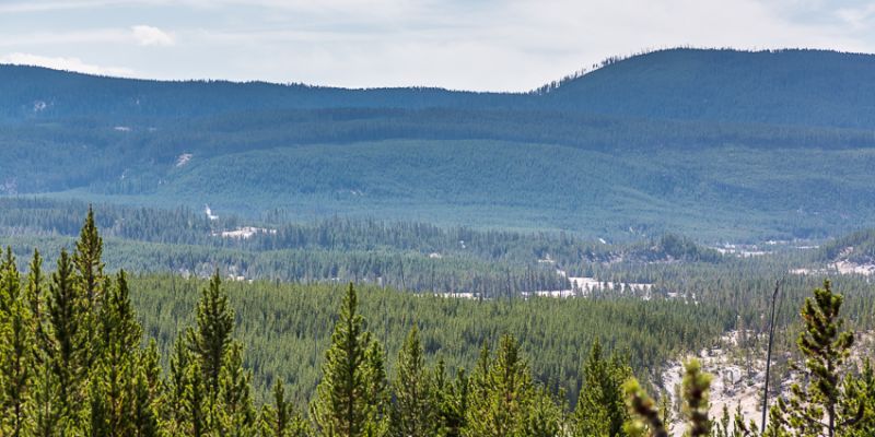 IMG_6408.jpg
