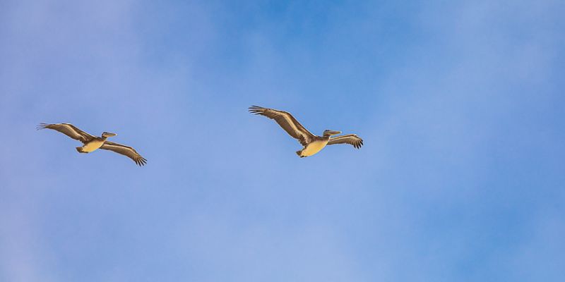 IMG_6533.jpg