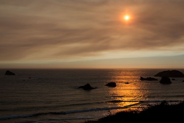 IMG_6656.jpg