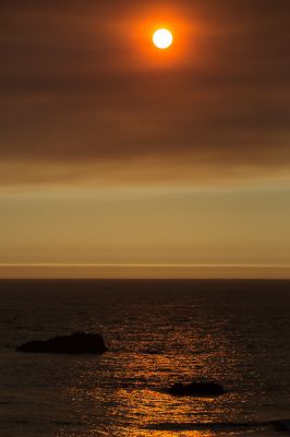 IMG_6674.jpg