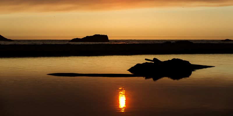 IMG_6693.jpg