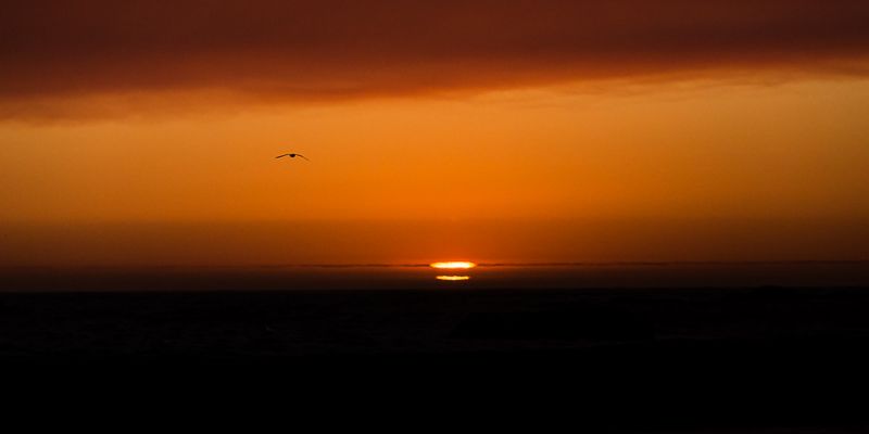 IMG_6795.jpg