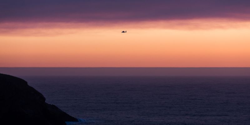 IMG_6797.jpg