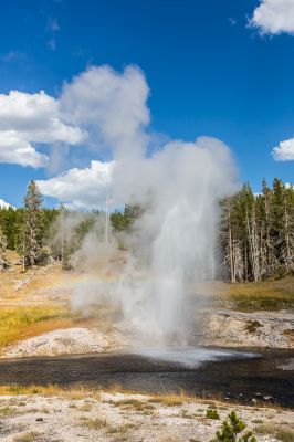 IMG_7213.jpg