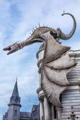 IMG_7539.jpg