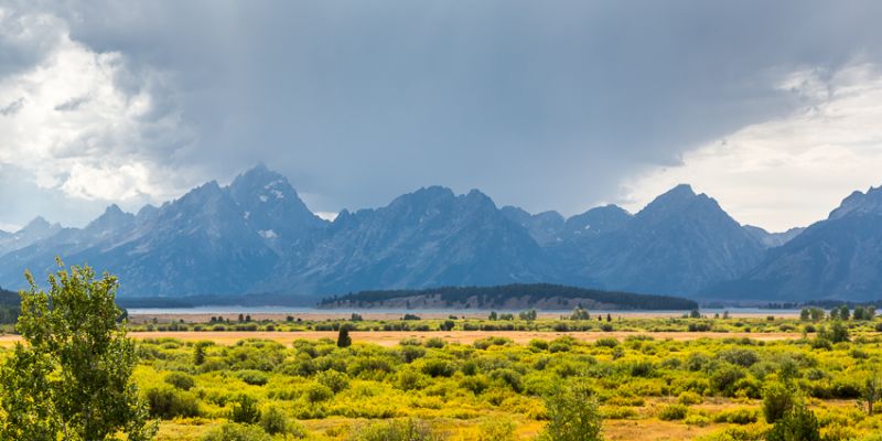 IMG_7546.jpg