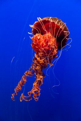 IMG_7696.jpg