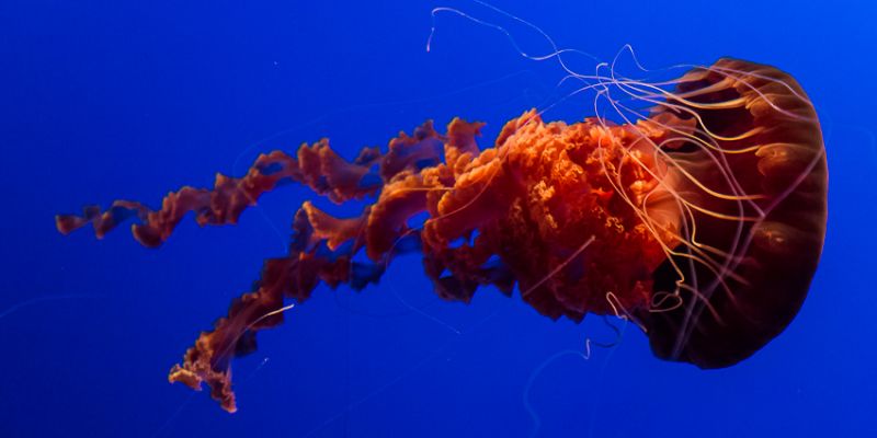 IMG_7697.jpg