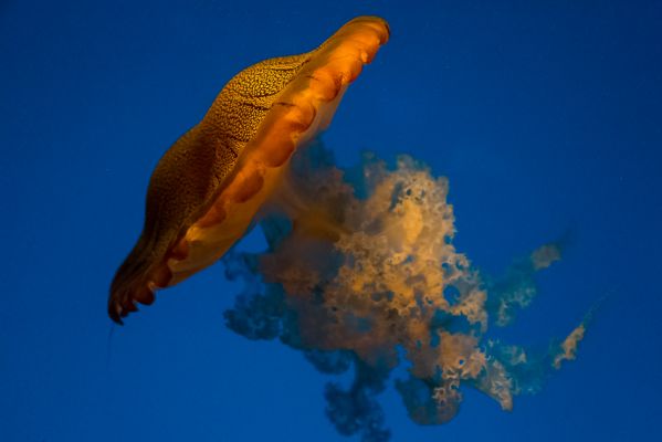 IMG_7930.jpg