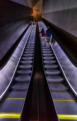 IMG_7963~0.jpg